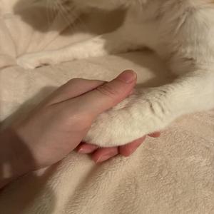 はるか_SNSデザイナー