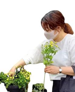 井上 尚佳