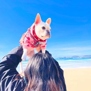 上堀内 春菜