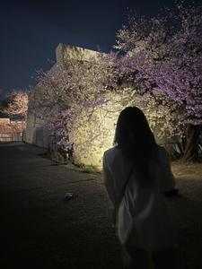 山本 理菜