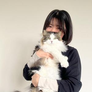 奥西 唯（Komi Design）