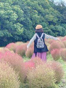 こめこ⭐︎デザイン