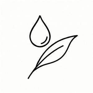 雫