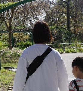 tokiwa