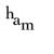 ham0131