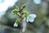 hidetake_6