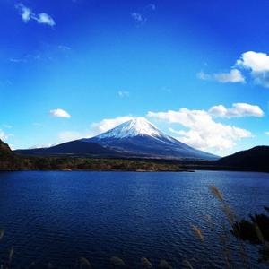 ぶるぶる