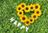 star_jewelry
