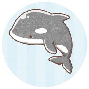 サーバ・NW構築、ツール類作成承ります。