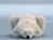 kumakuma1