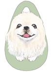 ゆき
