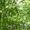 I_Hirota