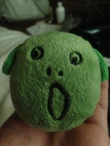 しとぴつ