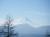 esk_prunus