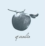 qualia design