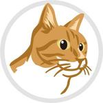 catman0821