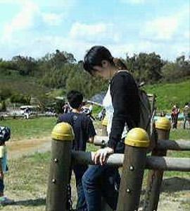 タツミマユミ