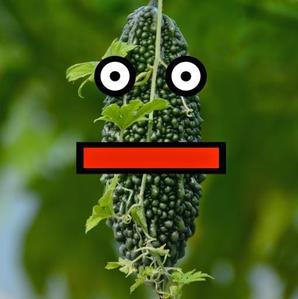 kappey014