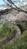 lucky_clover0927_0301