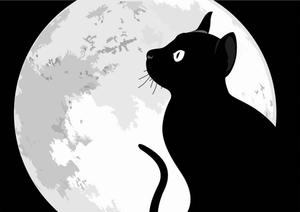 小笹貴弘