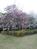 yuyuponta
