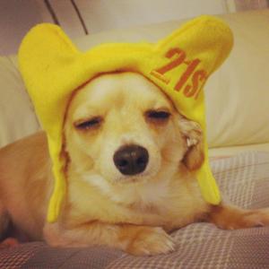 えり〜