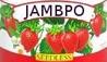 JAMBPO