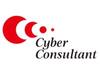 cyberconsultant