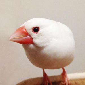藤井正則
