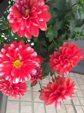 may-0510