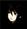 magosuke