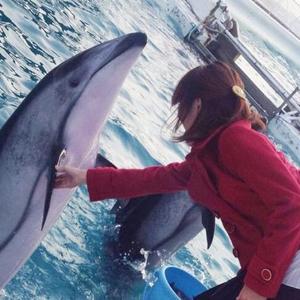 ニチカ