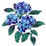 yokomasuda0712