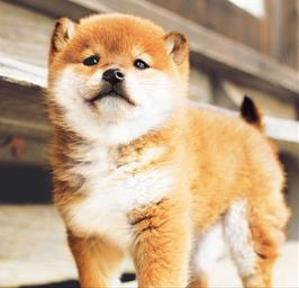 もここ