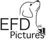 EFD-Pictures