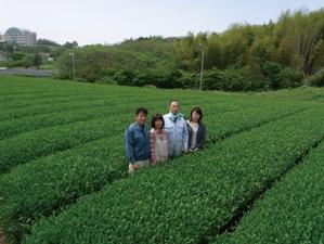 梅野製茶園