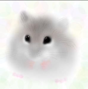 ponpetmt