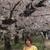 sakujuna_0208