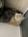 takeshi1192296