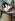 onepicec_002