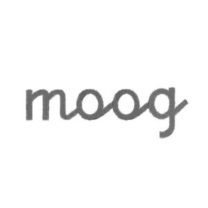 moog 