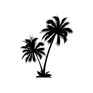 Palm Design