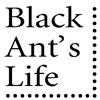 Black ant`s life