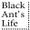 Blackantslife