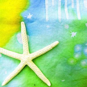 海星