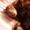 sky_cat_a