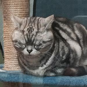 甲斐秋生