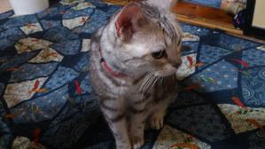 まこと
