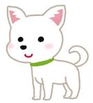 宮田＠動画広告