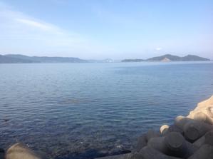 k.ogawa